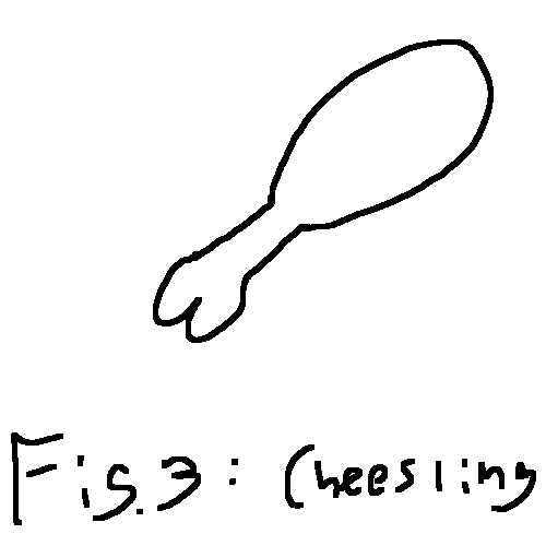 fig 3: cheesling